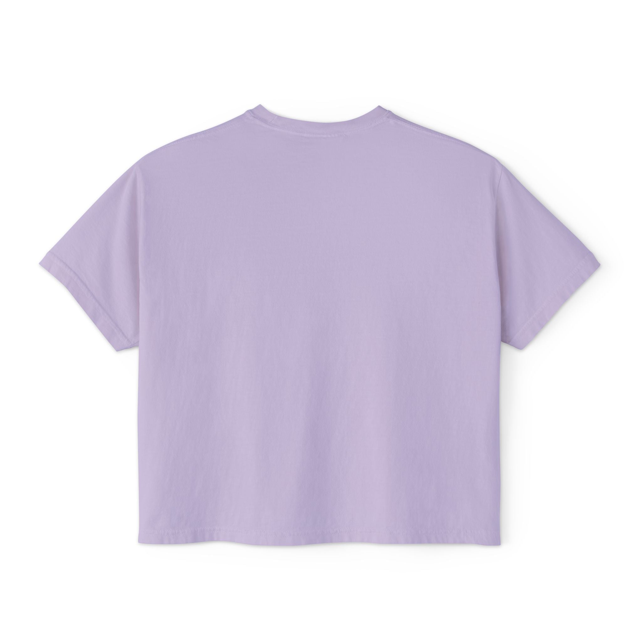 Ladies Had Enough Comfort Colors Crop Top