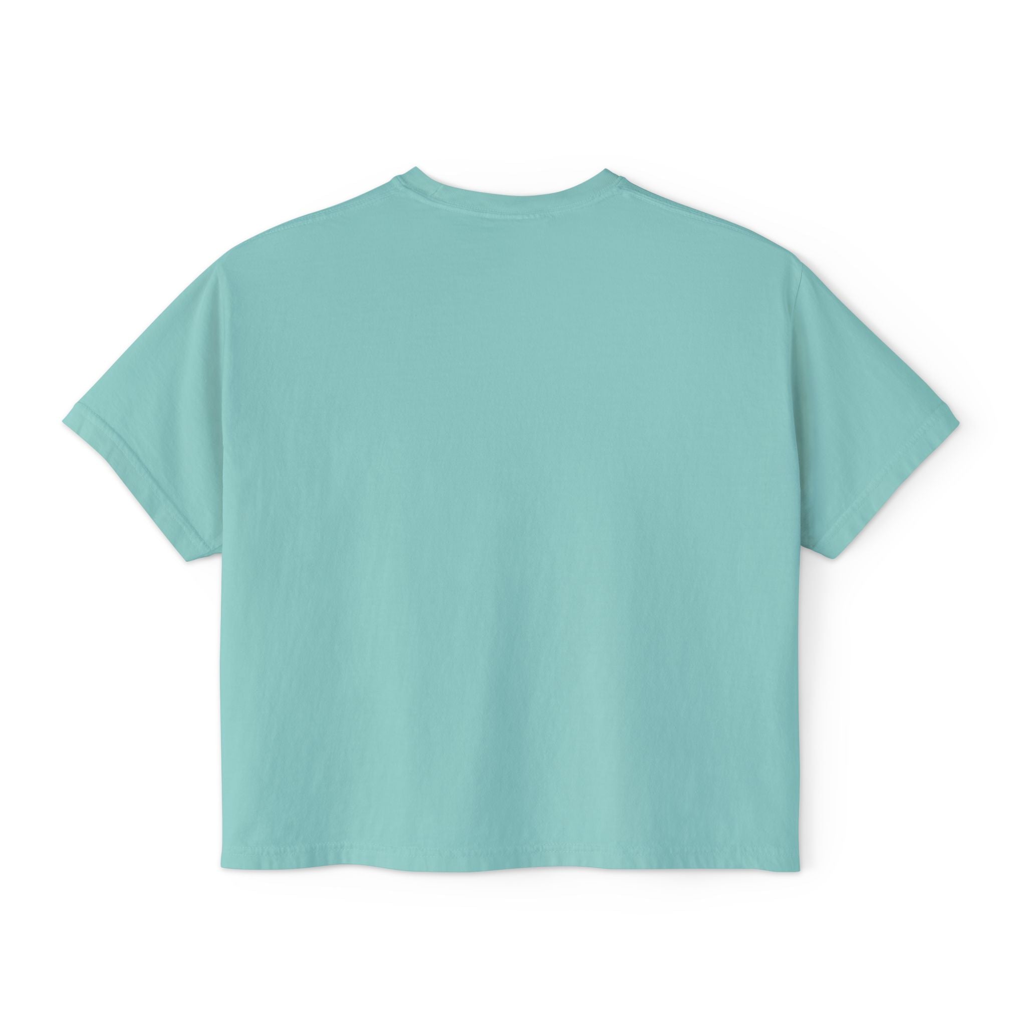 Ladies Had Enough Comfort Colors Crop Top