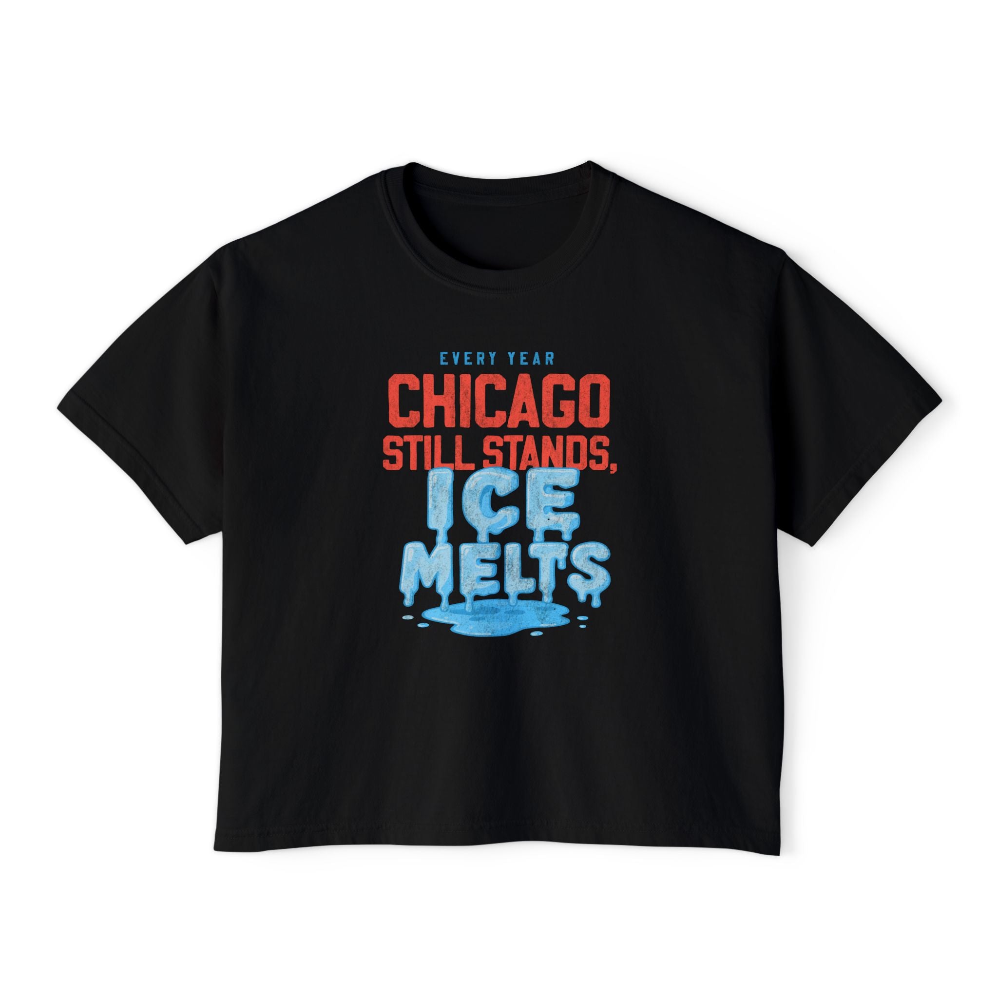 Chicago Still Stands Crop Top