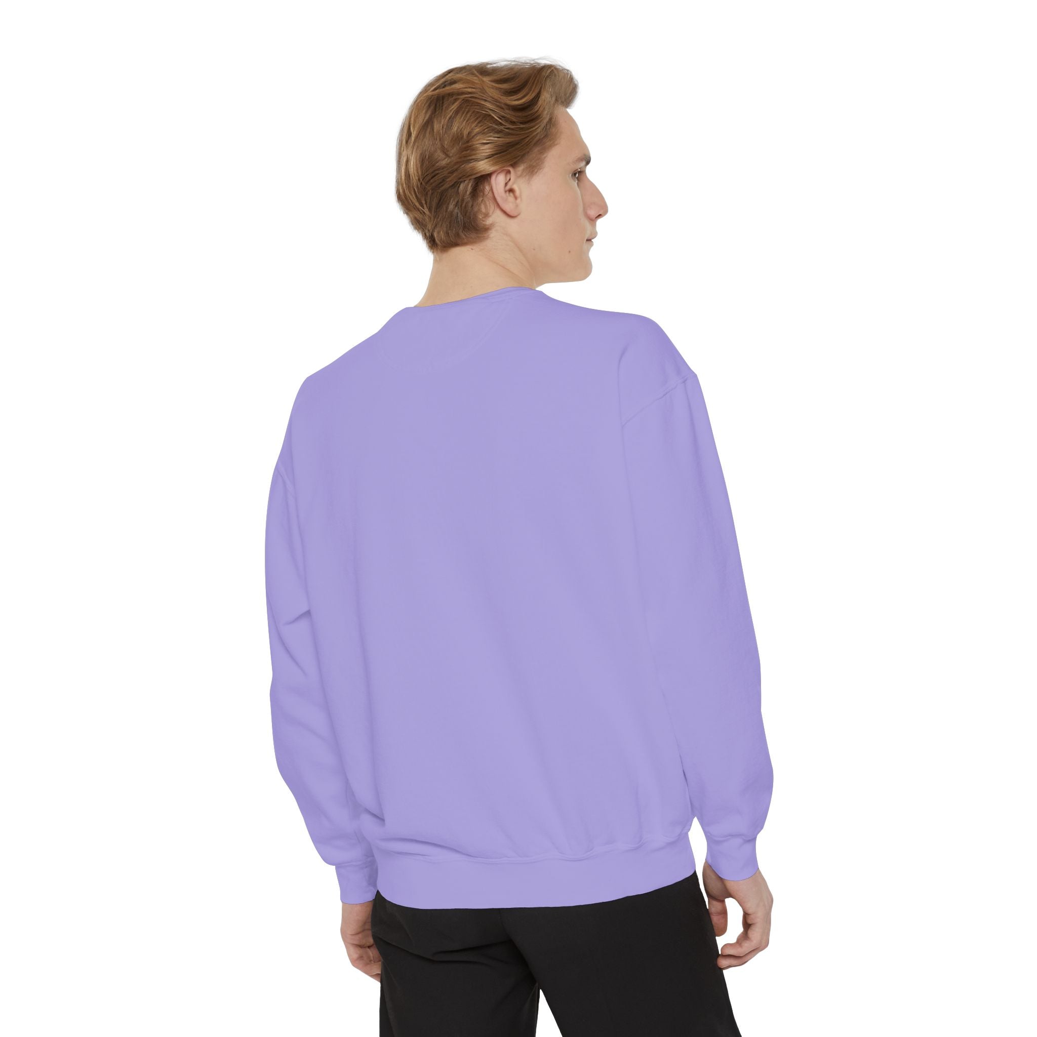 Night Two Sedona Drive Eraszona Tour Crewneck