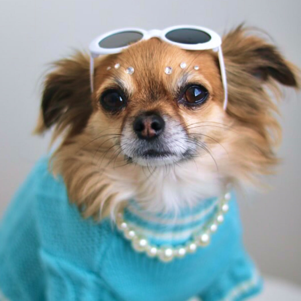 The Wildest Dreams Pet Cardigan