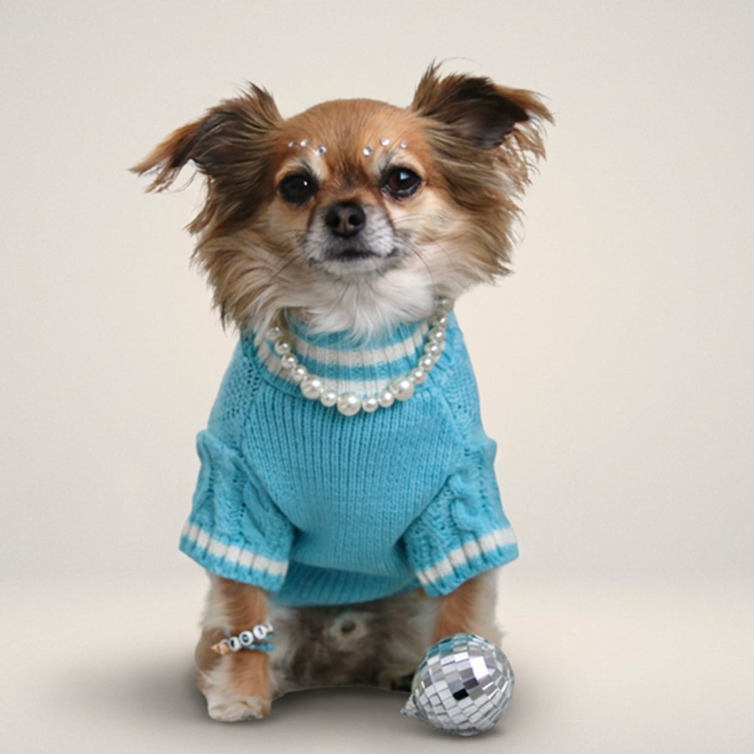 The Wildest Dreams Pet Cardigan