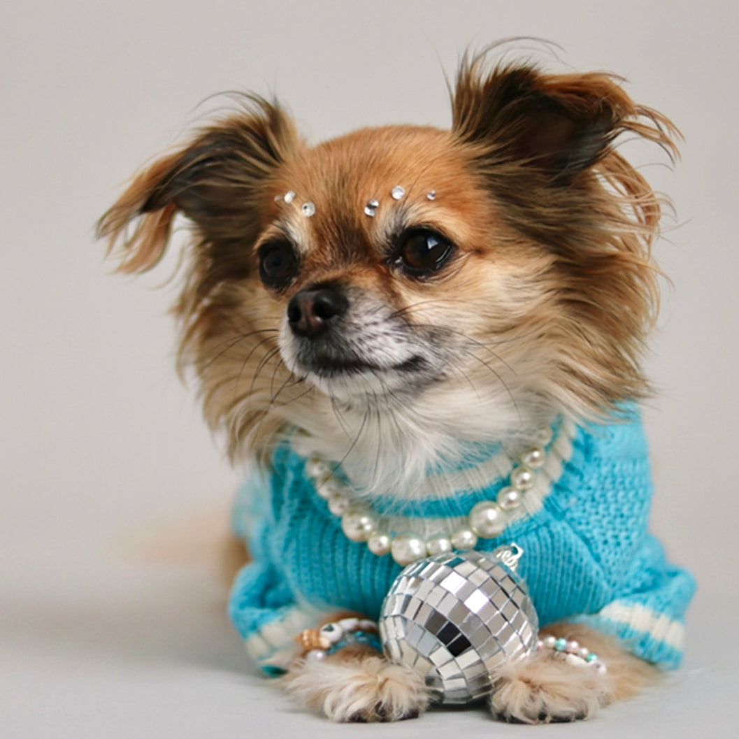 The Wildest Dreams Pet Cardigan