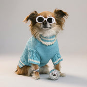 The Wildest Dreams Pet Cardigan
