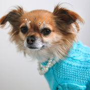The Wildest Dreams Pet Cardigan