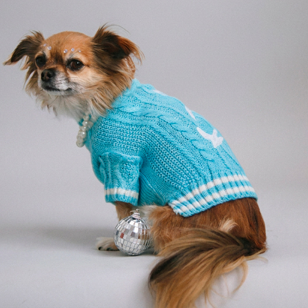 The Wildest Dreams Pet Cardigan