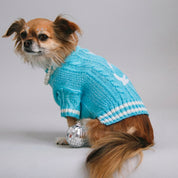 The Wildest Dreams Pet Cardigan