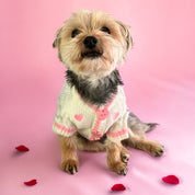 Lover Pet Cardigan