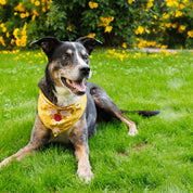 Embroidered Garden Bandana