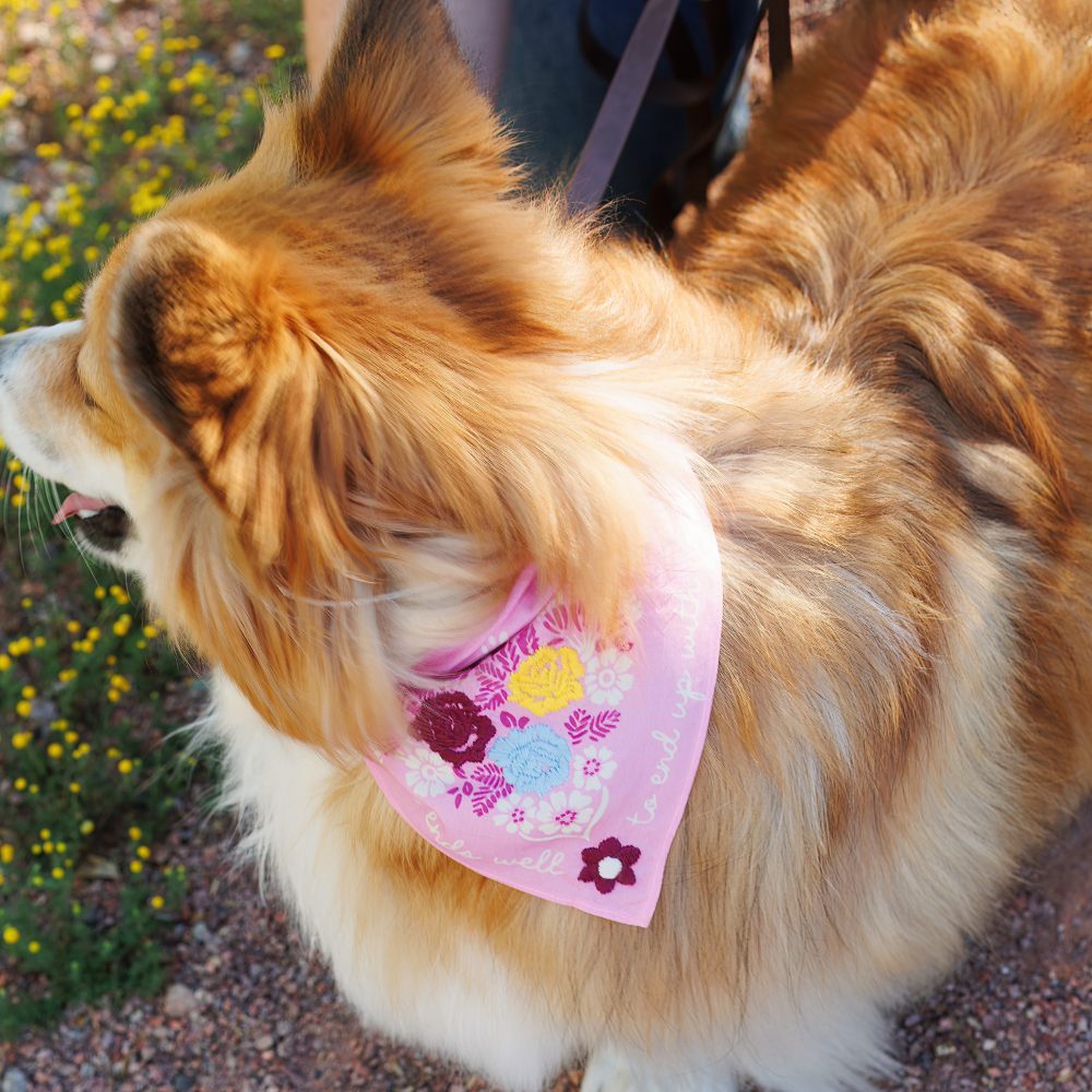 Embroidered All's Well That Ends Well Bandana