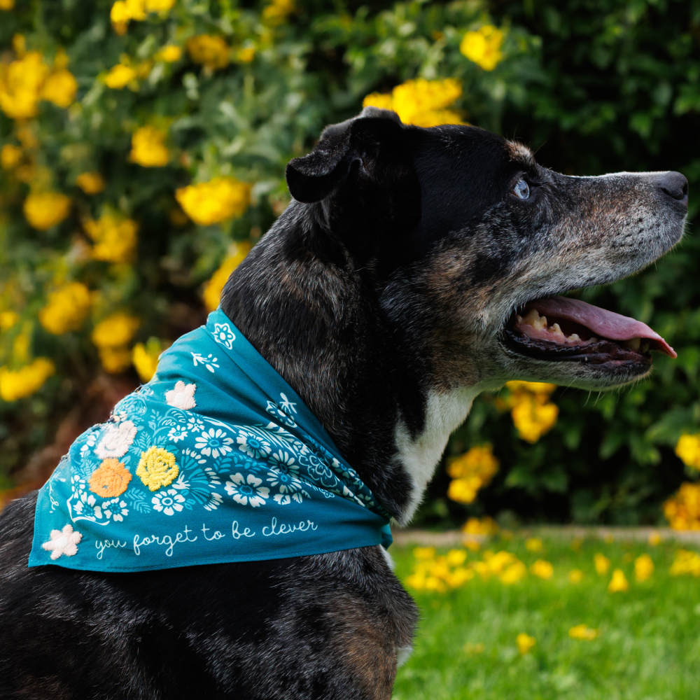 Embroidered Marjorie Bandana