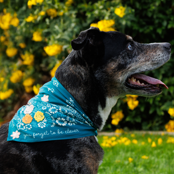 Embroidered Marjorie Bandana