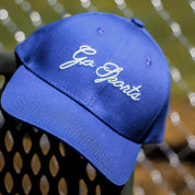 Go Sports Blue Bow Hat