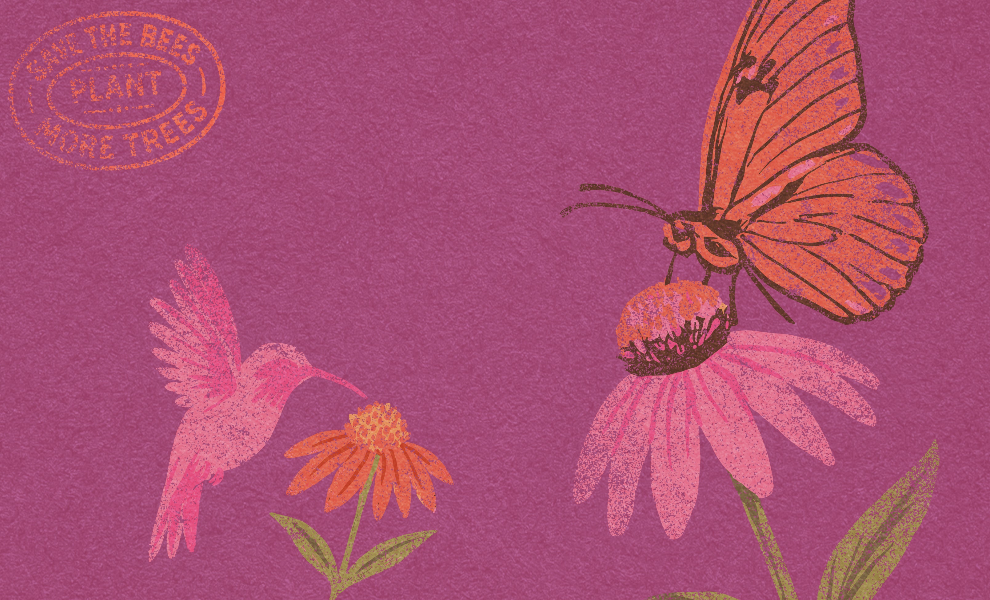 Butterfly_8502dc76-2721-40e8-b2a2-c139dac45fcf.jpg