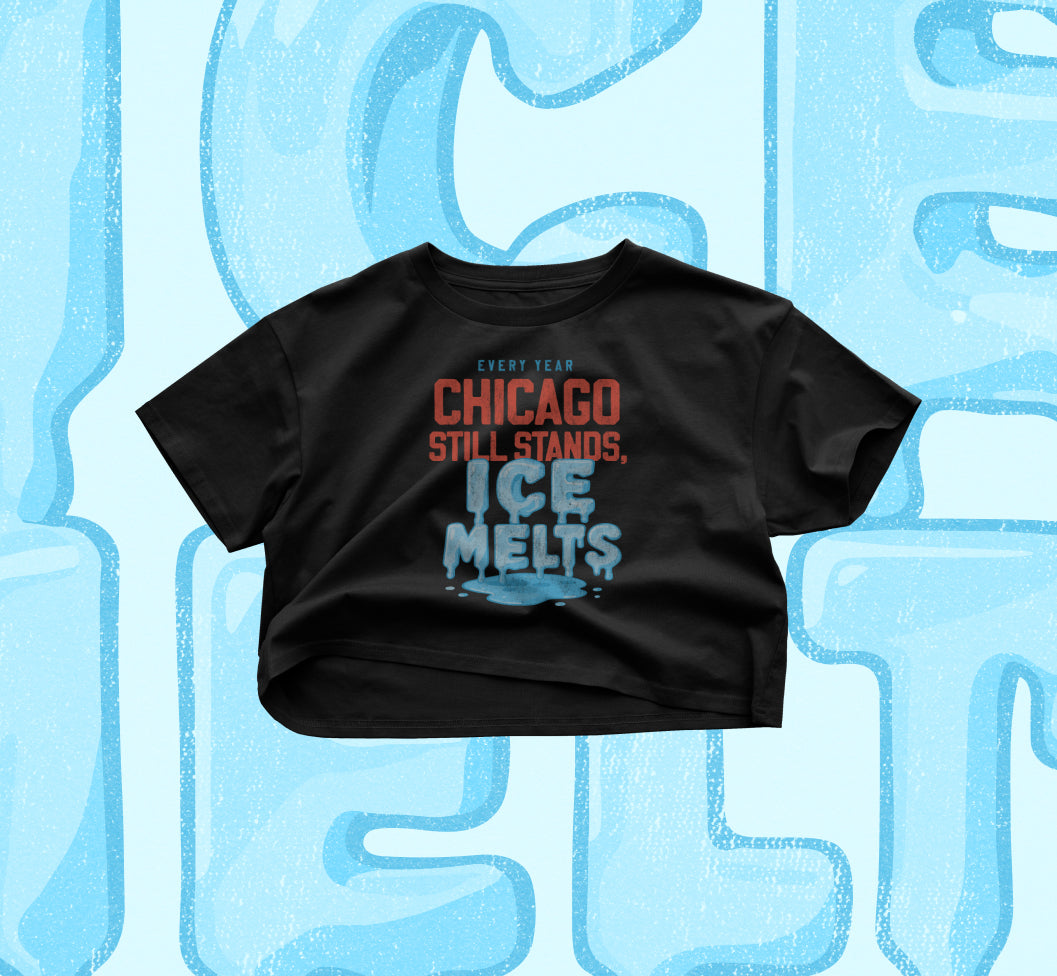 Chicago Still Stands Crop Top