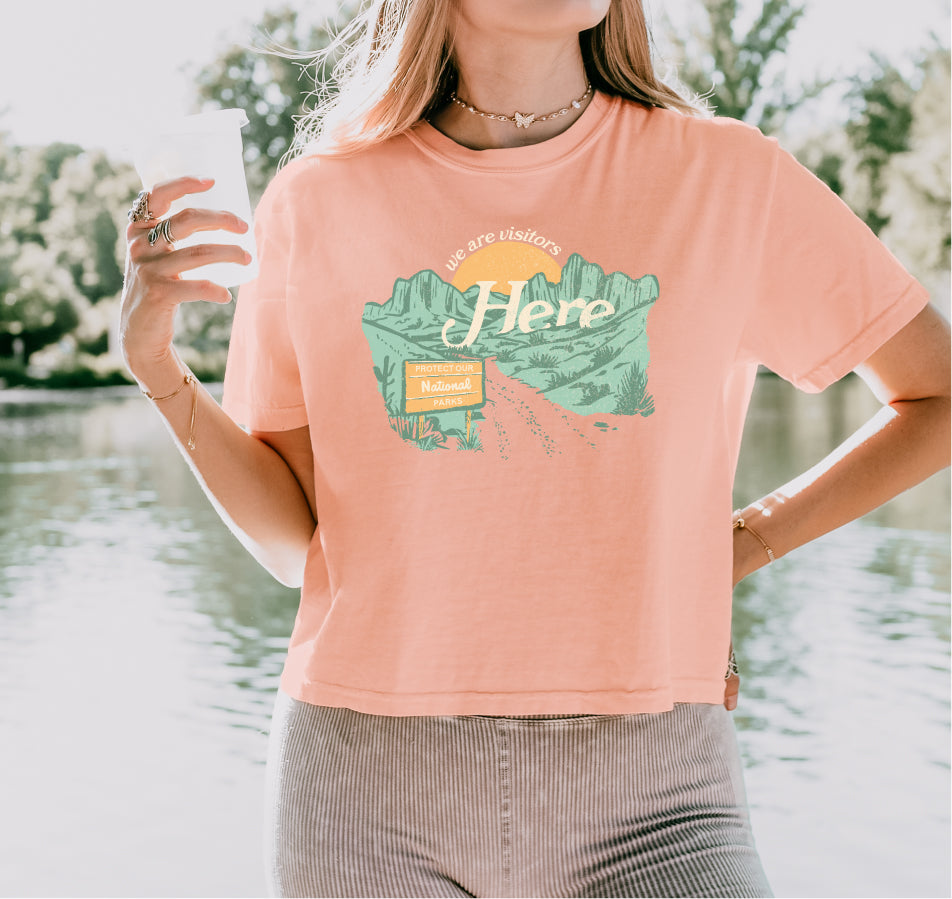 We are Visitors Here Comfort Colors Crop Tee