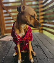 Pet Showgirl Pajamas