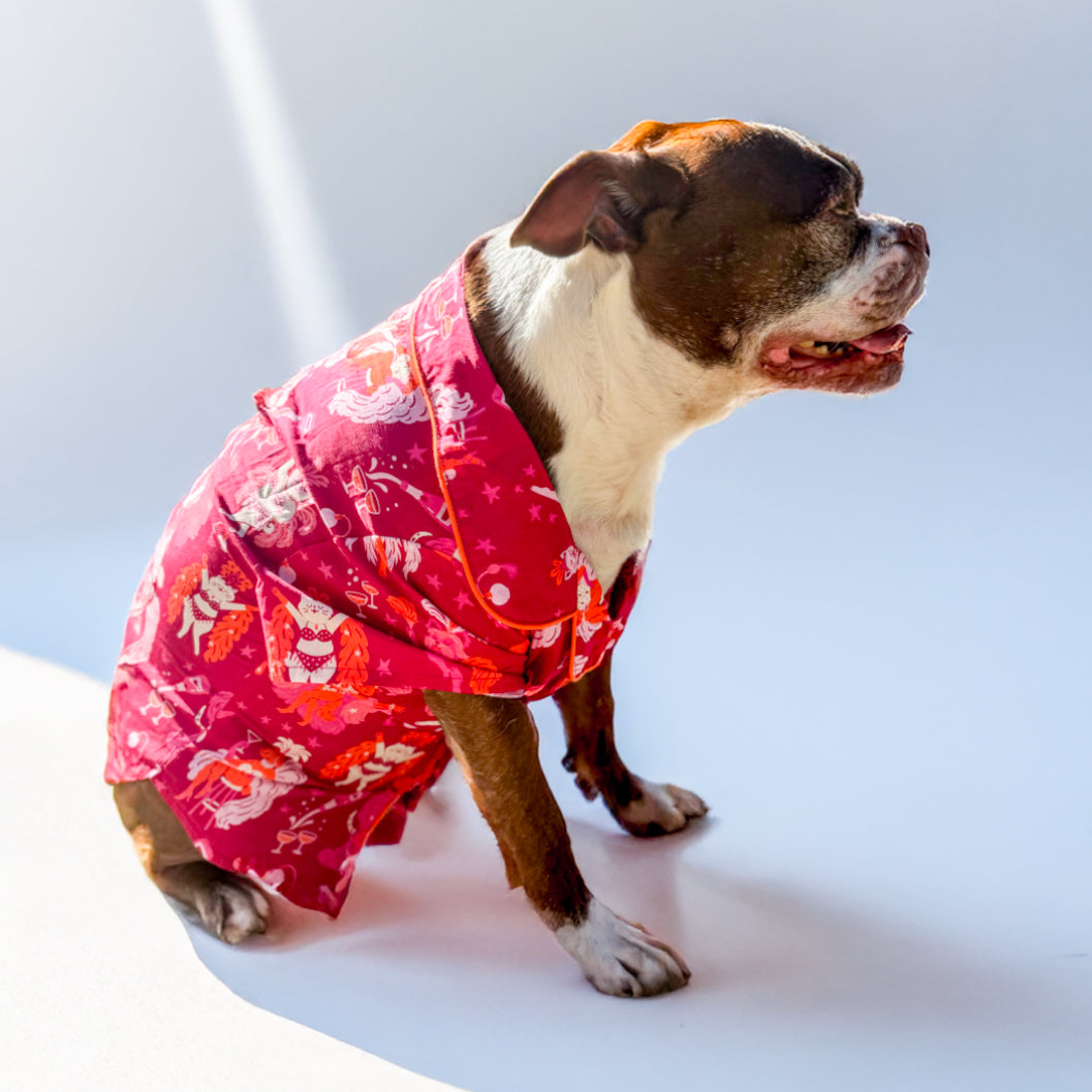 Dog-5_aeb1b393-85fa-4016-8a17-5dd3085dc31a.jpg
