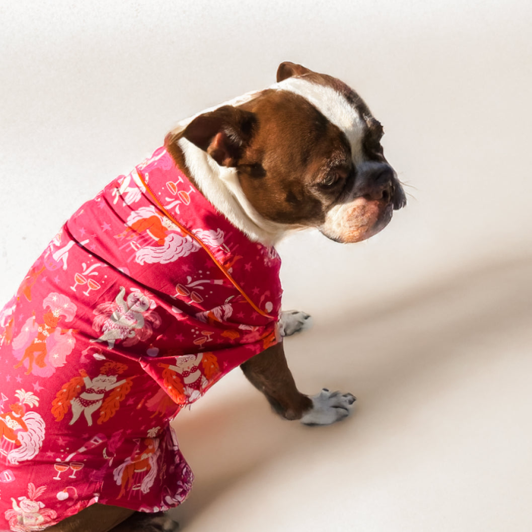 Pet Showgirl Pajamas