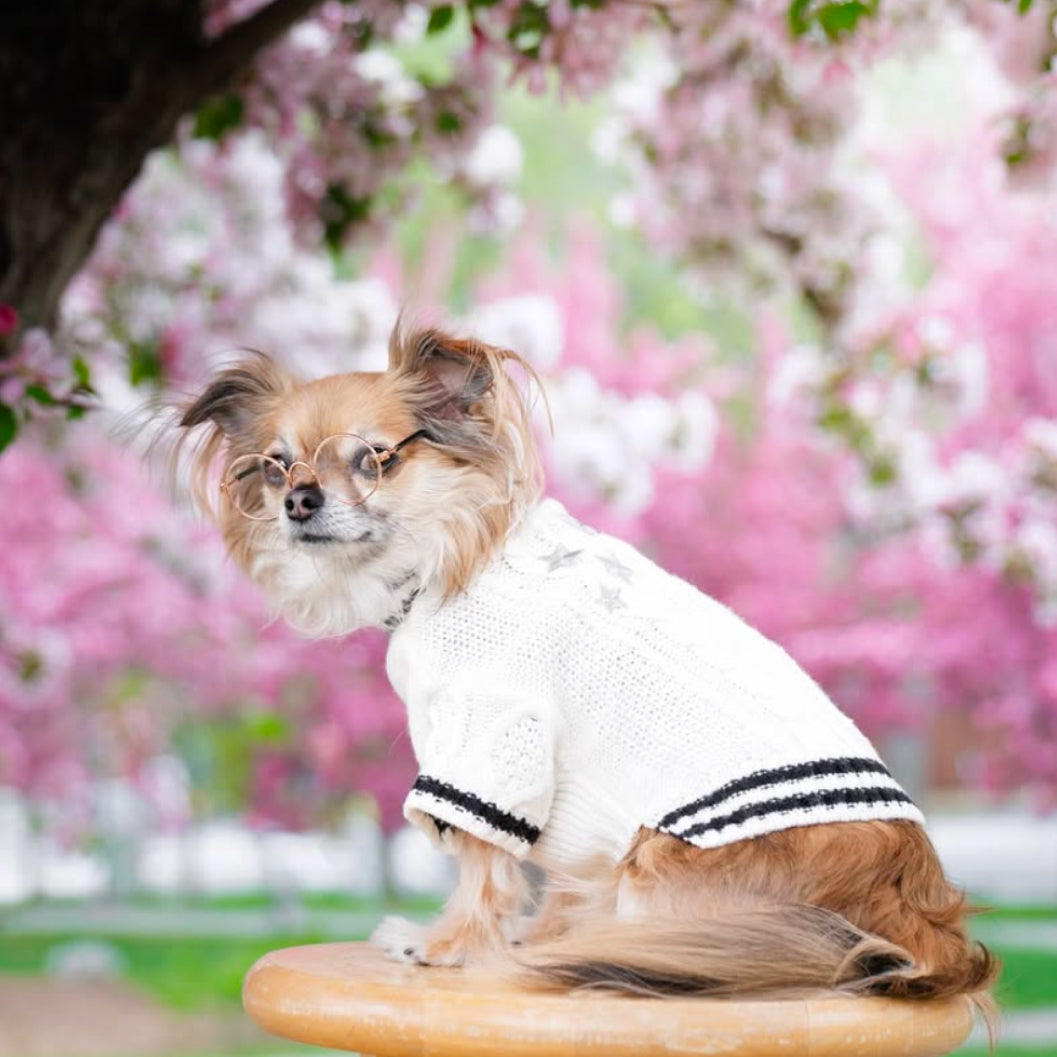 Folklore Pet Cardigan