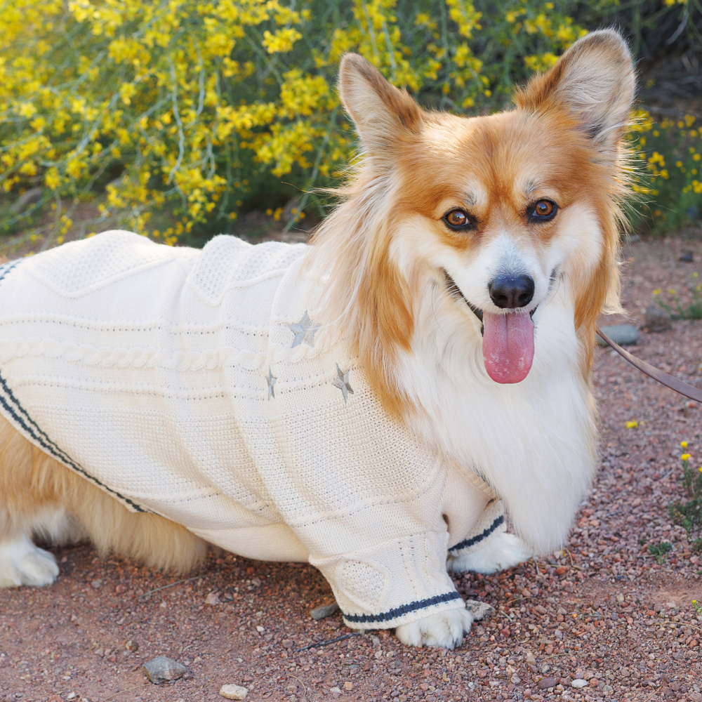 Folklore Pet Cardigan