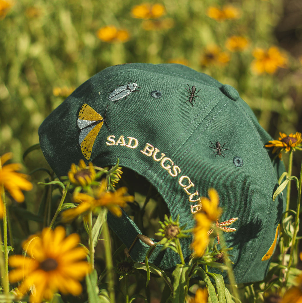 Sad Bugs Club Embroidered Dad Cap