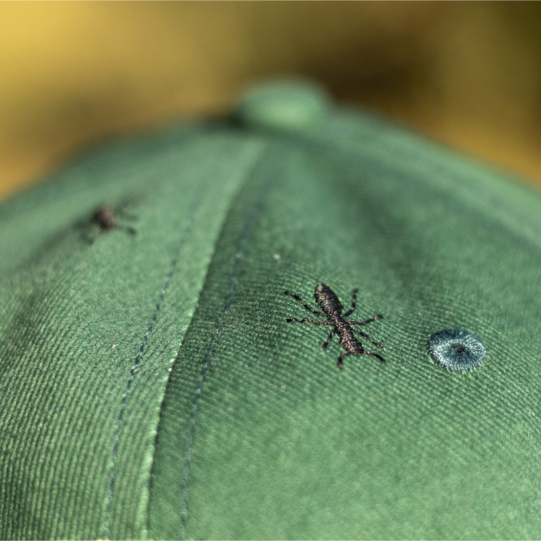 Sad Bugs Club Embroidered Dad Cap
