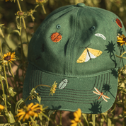 Sad Bugs Club Embroidered Dad Cap