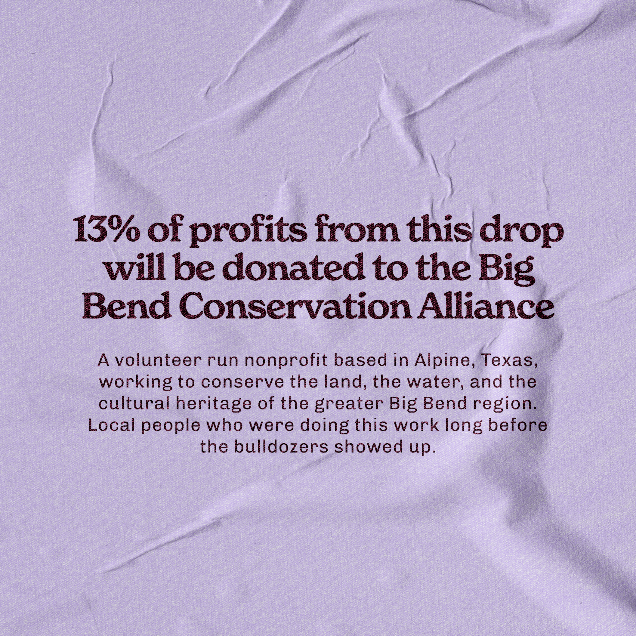 Protect Big Bend Tee
