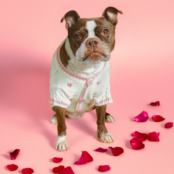Ur My Lover Pet Cardigan