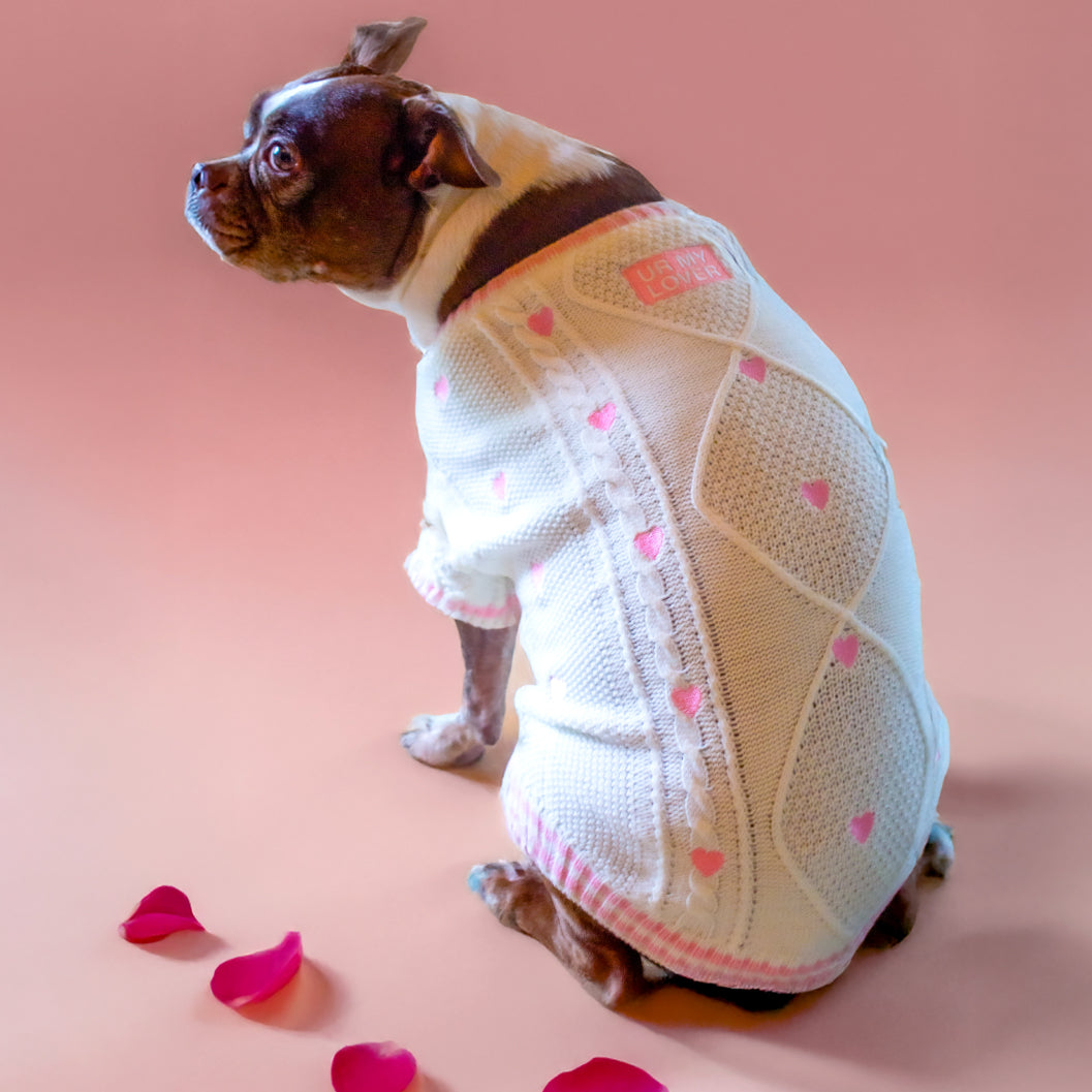 Lover Pet Cardigan