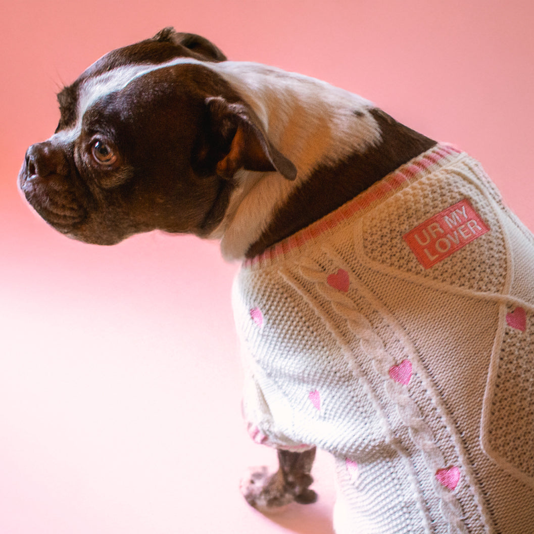 Lover Pet Cardigan