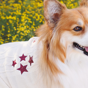 The Lucky One Pet Cardigan