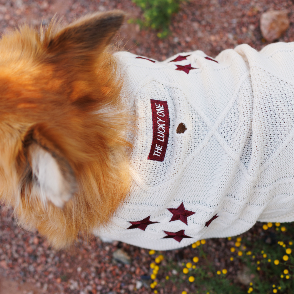 The Lucky One Pet Cardigan