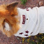 The Lucky One Pet Cardigan