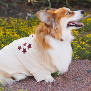 The Lucky One Pet Cardigan