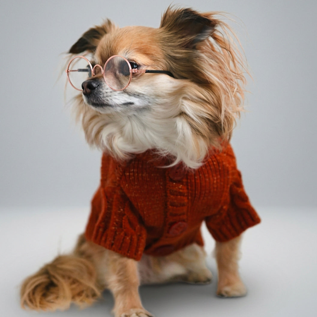 Showgirl Pet Cardigan