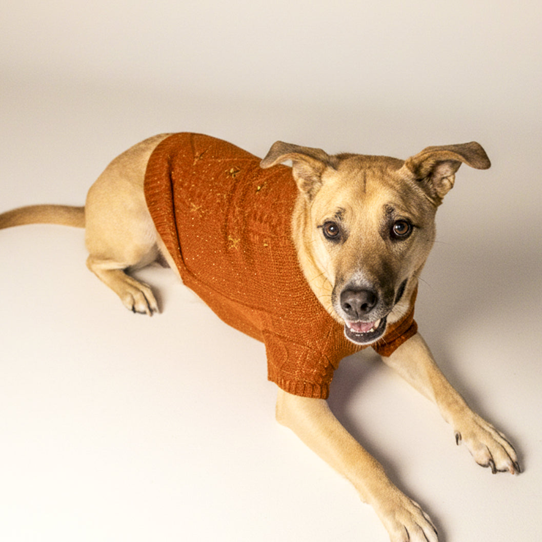 Showgirl Pet Cardigan