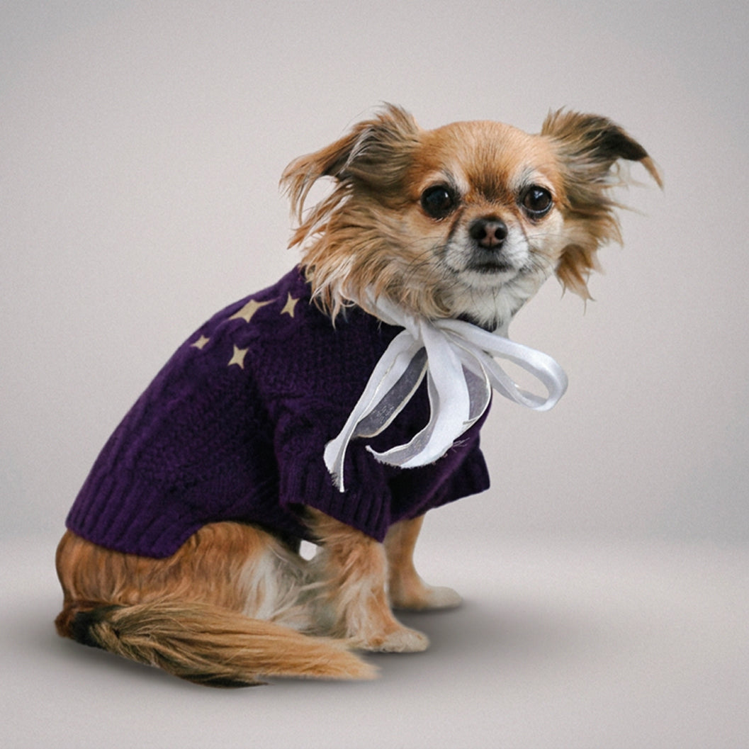 Speak Meow Pet Cardigan