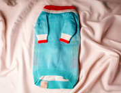 Reindeer Pet Christmas Sweater