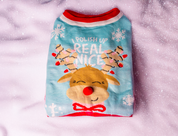 Reindeer Pet Christmas Sweater