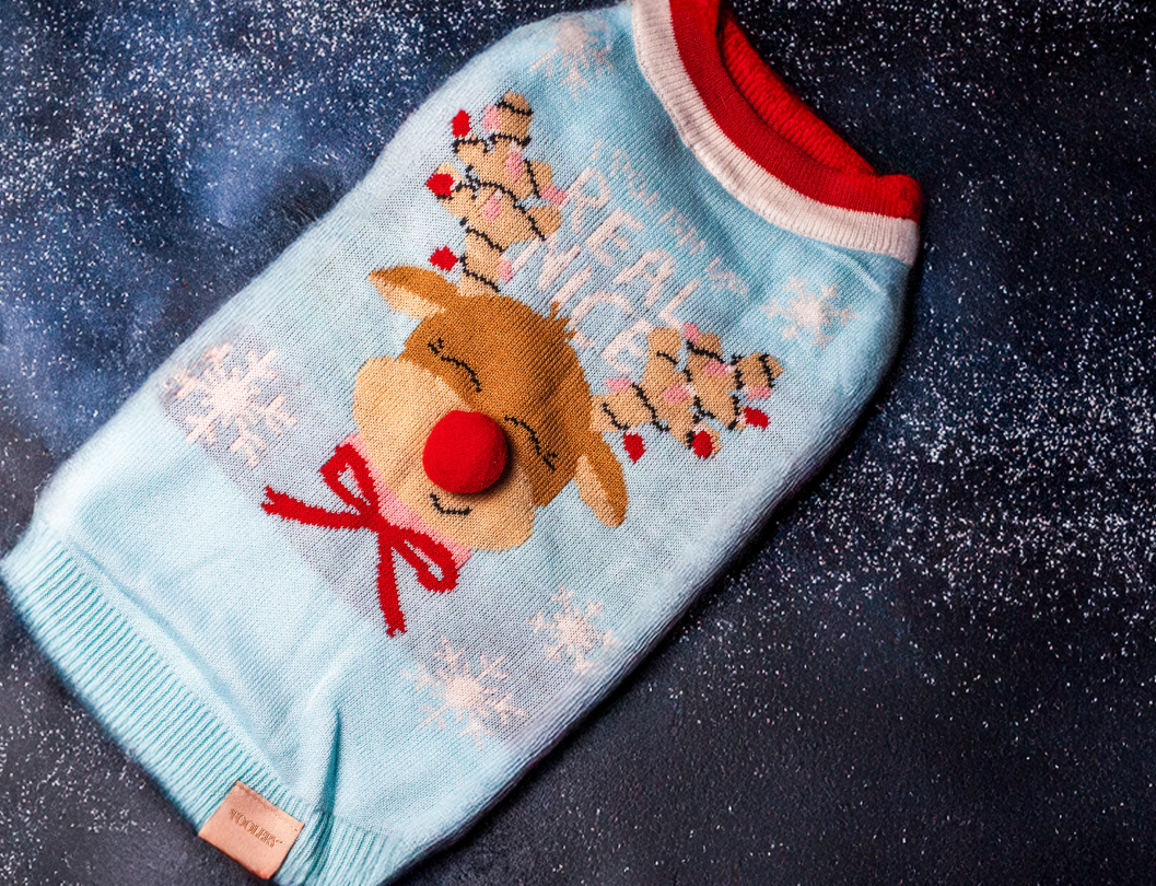 Reindeer Pet Christmas Sweater