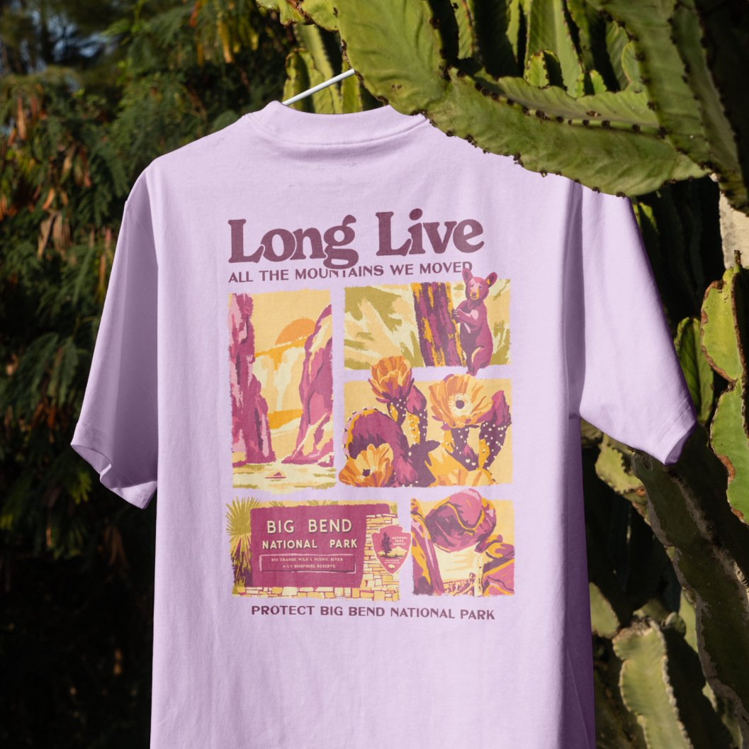Protect Big Bend Tee