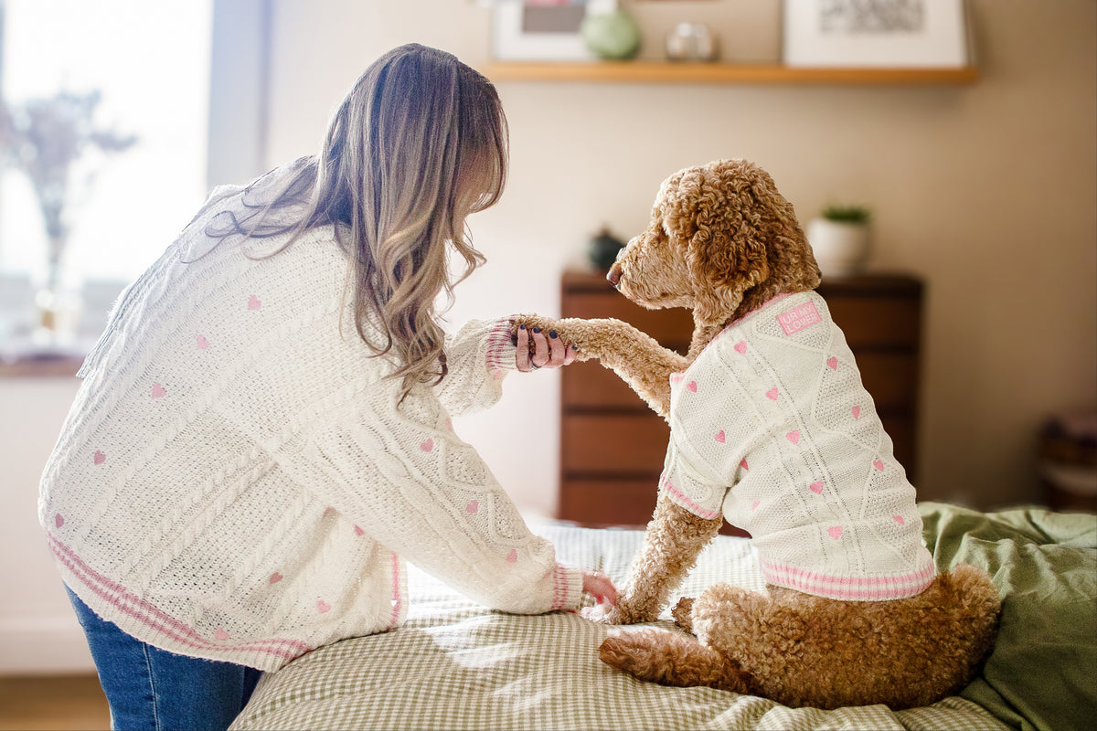 For the dogs